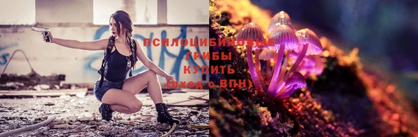 Альфа ПВП Армянск