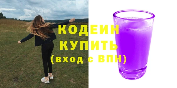 сатива Костерёво