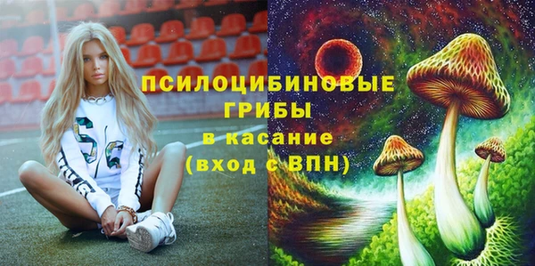 mdpv Арсеньев